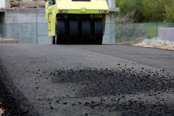 Best Driveway Pavers Near Me  in Round Lake, IL