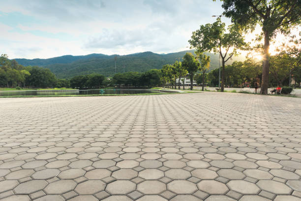 Best Concrete Paver Driveway  in Round Lake, IL